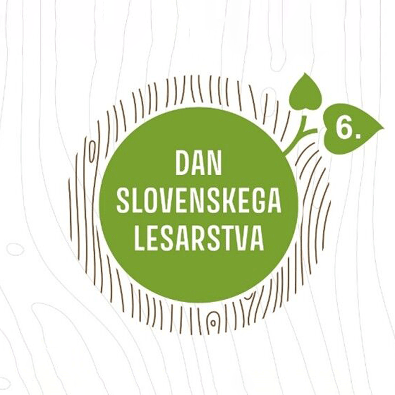 6. Dan slovenskega lesarstva 2025