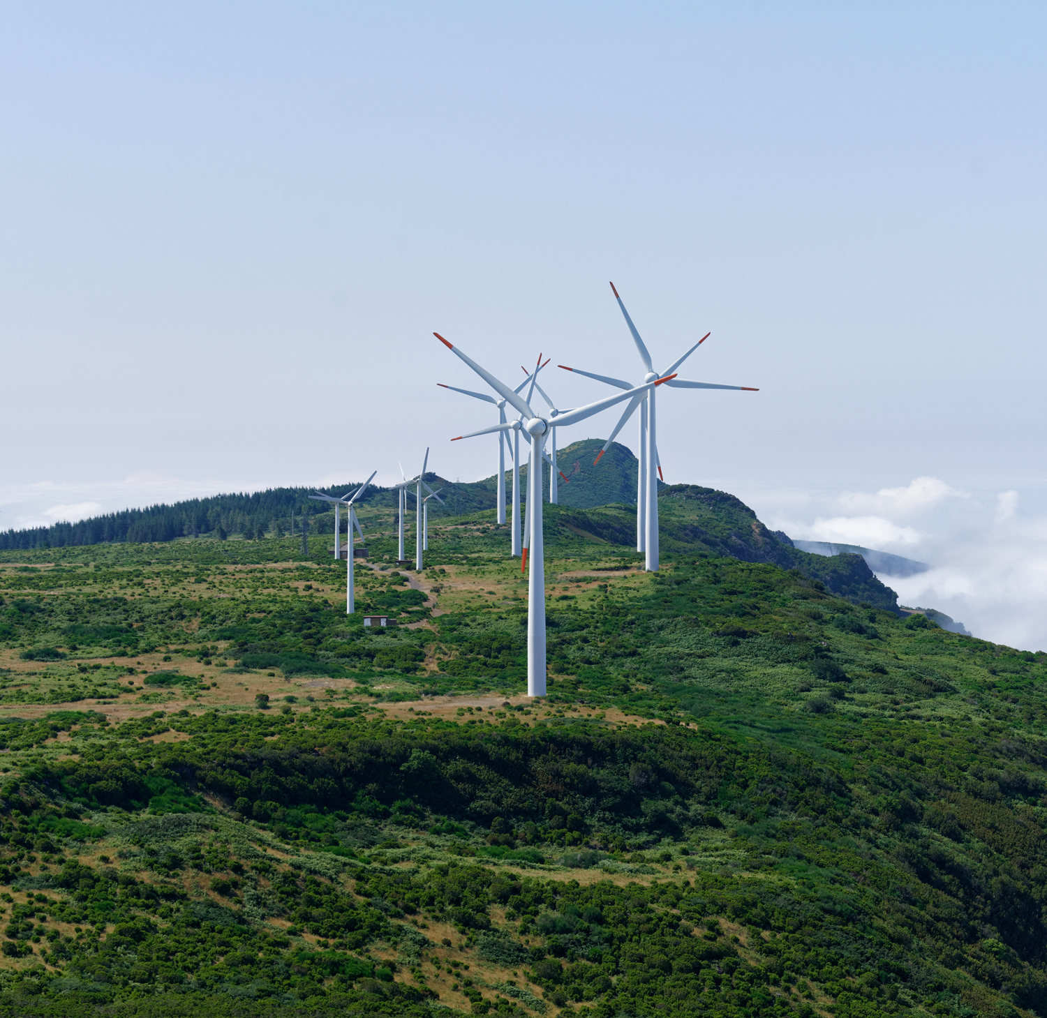 Posvet: Vetrna energija, prostor in okolje - čas za razmislek