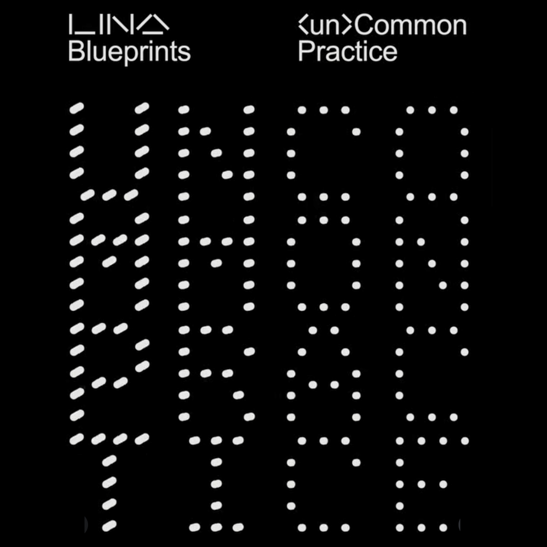 Načrti LINA: (ne) Običajne prakse