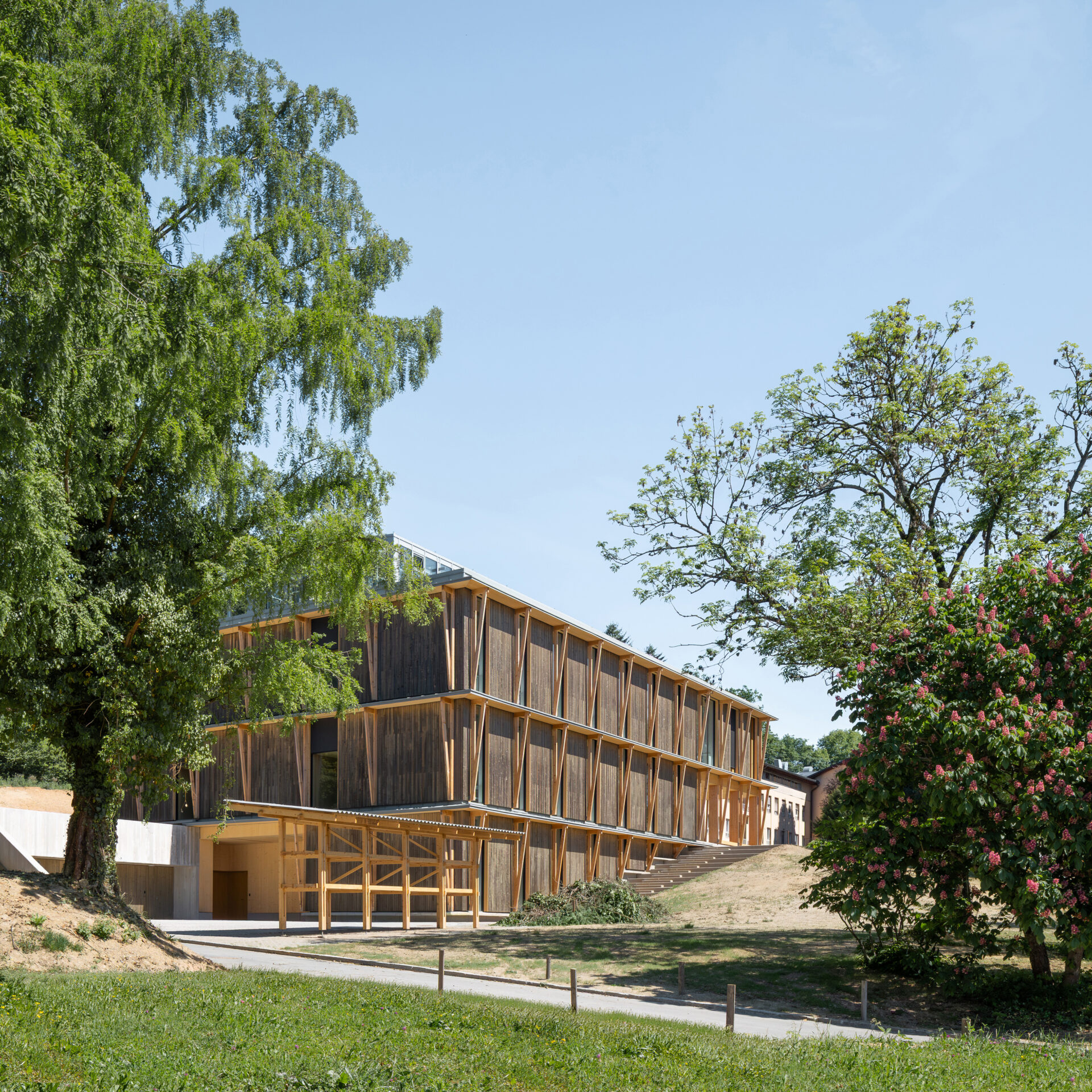 CENTER ZA SEMENARSTVO, DREVESNIČARSTVO IN VARSTVO GOZDOV foto Ana Skobe