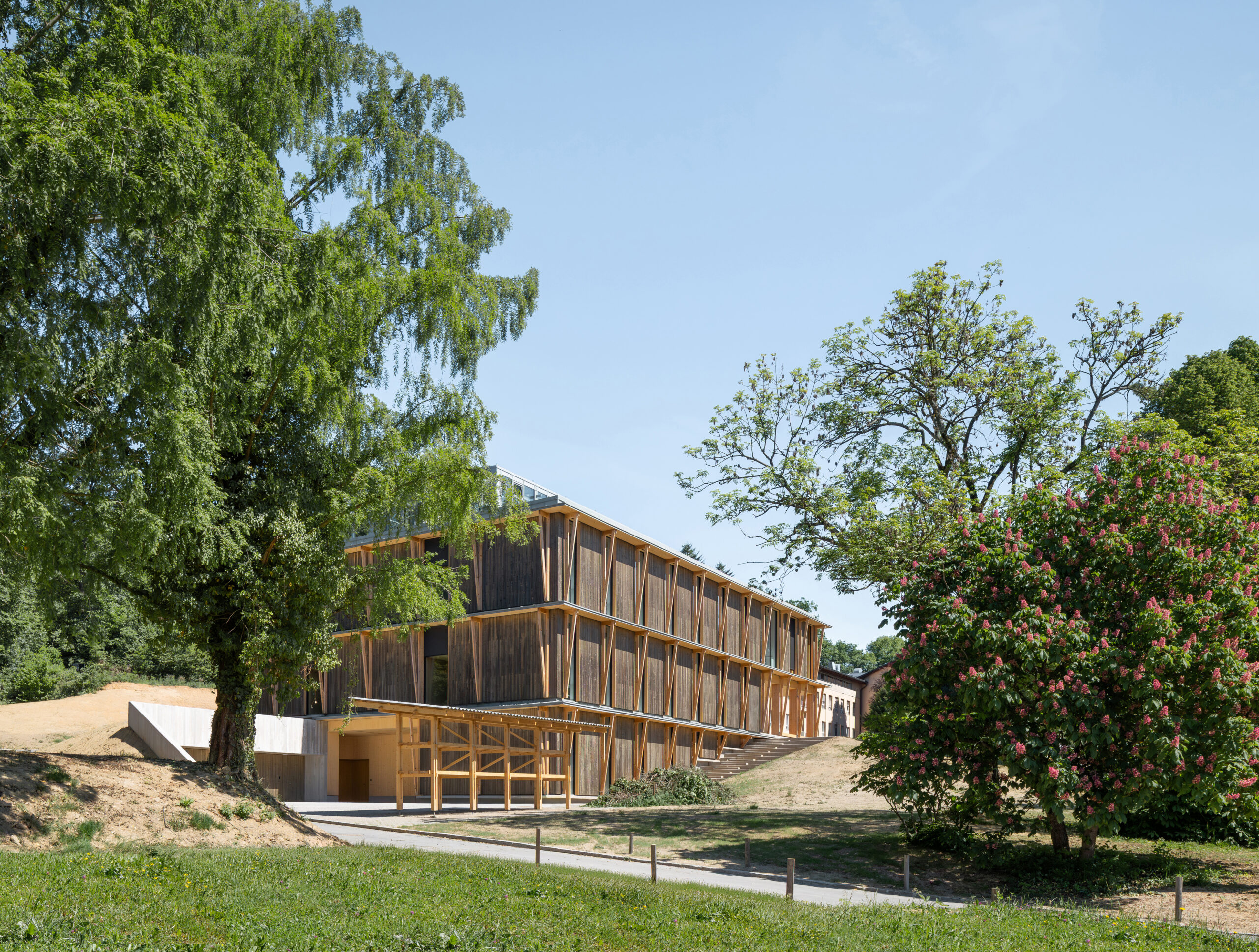 CENTER ZA SEMENARSTVO, DREVESNIČARSTVO IN VARSTVO GOZDOV foto Ana Skobe